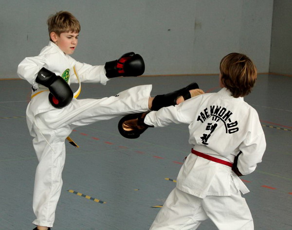 Laerer Vereinsmeister im Taekwondo steht fest