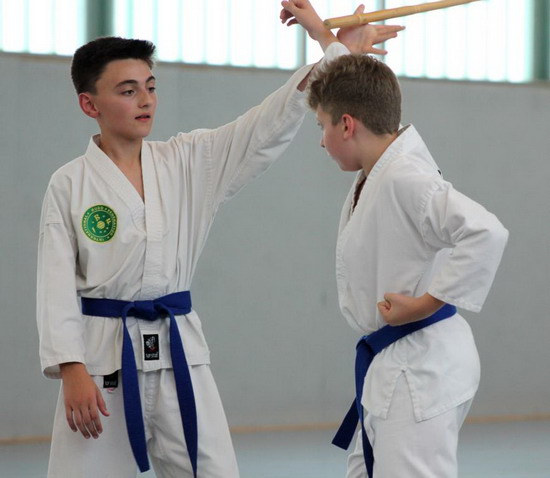 Taekwondo Schülerprüfung am 07. Juli 2017
