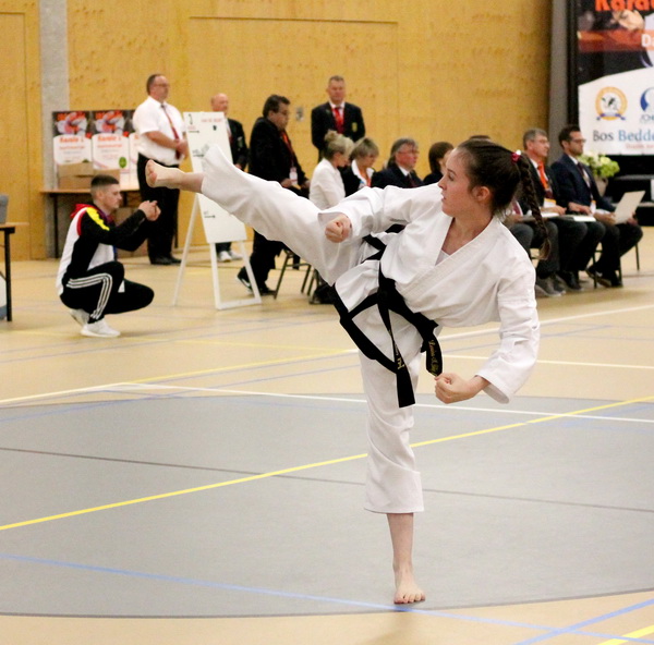 taekwondo wm dalfsen
