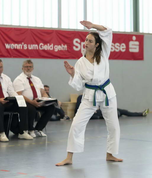 taekwondo nachwuchsturnier