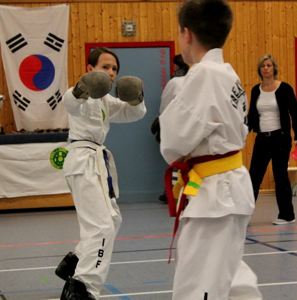 Taekwondo Deutschen Meisterschaft im Semikontakt-Karate und Kata