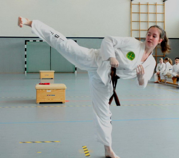 Laerer Vereinsmeister im Taekwondo steht fest