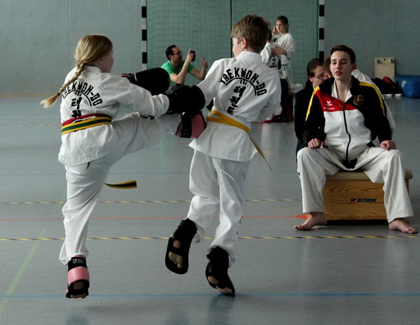 Laerer Vereinsmeister im Taekwondo steht fest