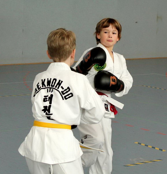 Laerer Vereinsmeister im Taekwondo steht fest