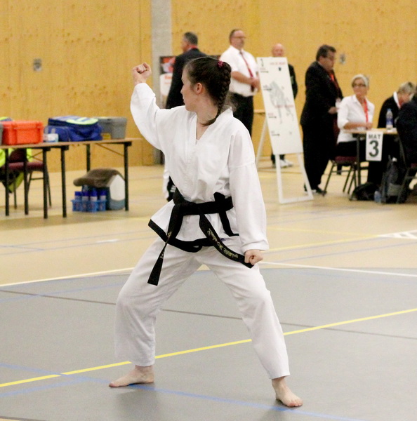 taekwondo wm dalfsen