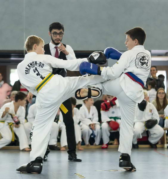 taekwondo nachwuchsturnier