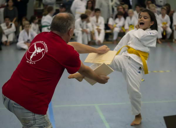 taekwondo nachwuchsturnier