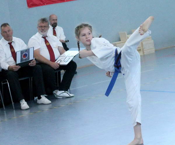 taekwondo nachwuchsturnier