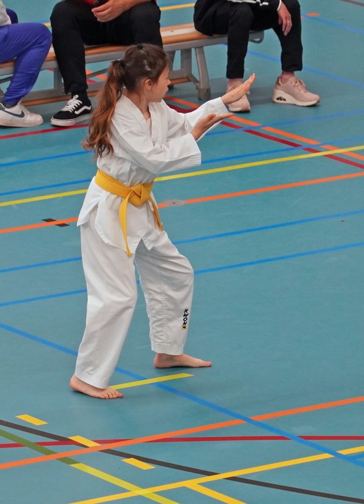 Takewondo Almere Takewondo Almere
